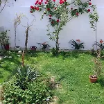Guest house Petrovi *
