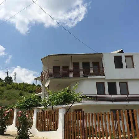 Petrovi *