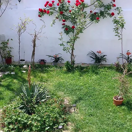 Guest house Petrovi *
