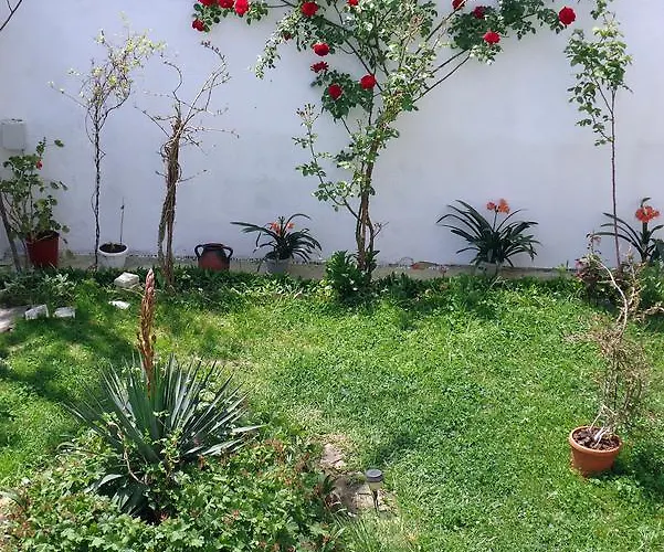 Guest house Petrovi *